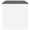 vidaXL Banc d'entr&eacute;e avec coussin Blanc 63 x 38 x 40 cm