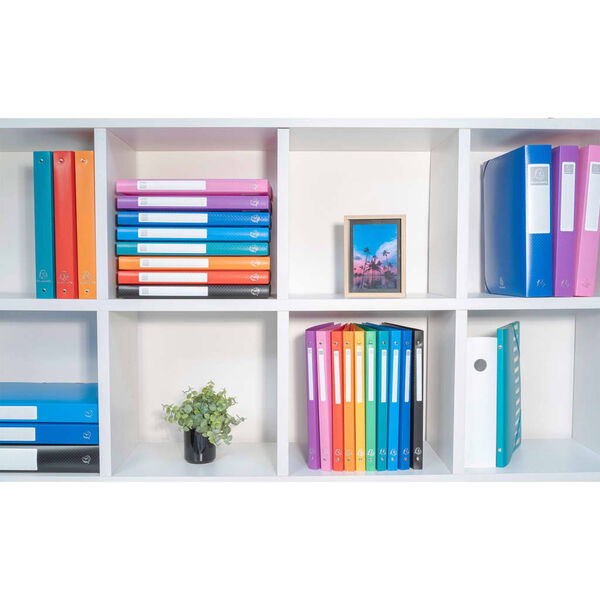 Exacompta Classeur &eacute;lastiqu&eacute; Exabox A4 40 mm PP 8 pcs