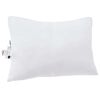 vidaXL Oreiller avec oreiller 2 pcs Blanc 61 x 41 x 20 cm Polyester