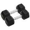 vidaXL Halt&egrave;res 2 pcs 8 kg Total Fonte