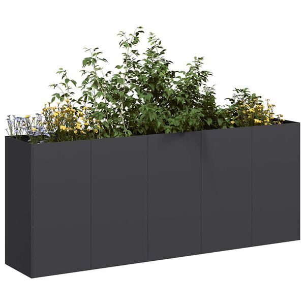 vidaXL Jardini&egrave;re noir 200x40x80 cm acier lamin&eacute; &agrave; froid
