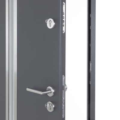 vidaXL Porte d'entrée anthracite 100x200 cm aluminium