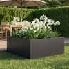 Vignette du produit 3 sur 10