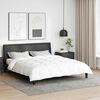 vidaXL Duvet 2-en-1 Blanc 200 x 200 cm Plume