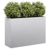 vidaXL Jardini&egrave;re 120x40x80 cm acier galvanis&eacute;