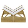 vidaXL Serres 2 pcs Bois de pin impr&eacute;gn&eacute; 100x50x35 cm