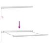 vidaXL Auvent R&eacute;tractable Vert et blanc 300 x 250 cm Tissu et M&eacute;tal