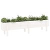 vidaXL Lit sur&eacute;lev&eacute; de jardin blanc 160x30x38 cm bois de pin massif