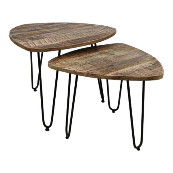 HSM Collection Ensemble de tables basses 2 pcs Dexter