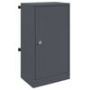 vidaXL bo&icirc;te aux lettres avec porte Anthracite 30 x 20 x 55 cm Acier