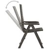 vidaXL Chaises inclinables de jardin lot de 2 Plastique Anthracite