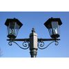 vidaXL Lampadaire de jardin 2 bras 215 cm Vert fonc&eacute;/Noir Aluminium