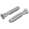 vidaXL Vis &agrave; t&ecirc;te cap 2 pc Argent&eacute; M7 x 40 mm Acier