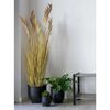 House Nordic Herbe artificielle Sorghum 110 cm Naturel