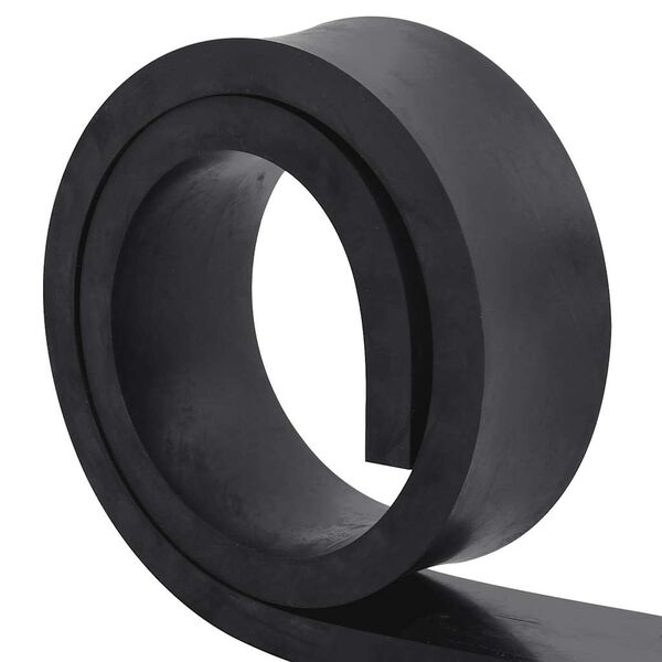 vidaXL Bordure en caoutchouc de chasse-neige noir 150x8x2 cm