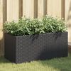 vidaXL Jardini&egrave;res avec 2 pots 2 pcs noir 72x30x32 cm r&eacute;sine tress&eacute;e