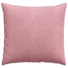 vidaXL Coussins de canap&eacute; 2 pcs Rose 45 x 45 cm
