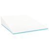 vidaXL Coussin en coin Uni Blanc