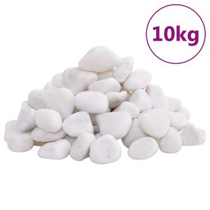 vidaXL Galets polis 10 kg blanc 2-5 cm