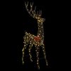 Vignette du produit 4 sur 10