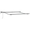 vidaXL Cadre d'auvent Anthracite 3 x 2,5 m Aluminium