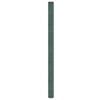 vidaXL Membrane anti-mauvaises herbes vert 2x50 m PP