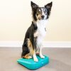 FitPAWS Rampe d'&eacute;quilibre pour animaux de compagnie 35x35x7 cm Bleu