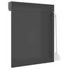 vidaXL Store Roulant Anthracite 70 x 100 cm Aluminium et Polyur&eacute;thane