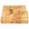 vidaXL Dessus de table 100x20x2,5cm bord vif bois massif manguier brut