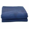 vidaXL Tapis de tente Bleu 200 x 200 cm Polyester