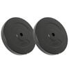 vidaXL Plaques de poids 2 pcs 30 kg B&eacute;ton