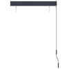 vidaXL Store roulant d'ext&eacute;rieur 100 x 250 cm Anthracite