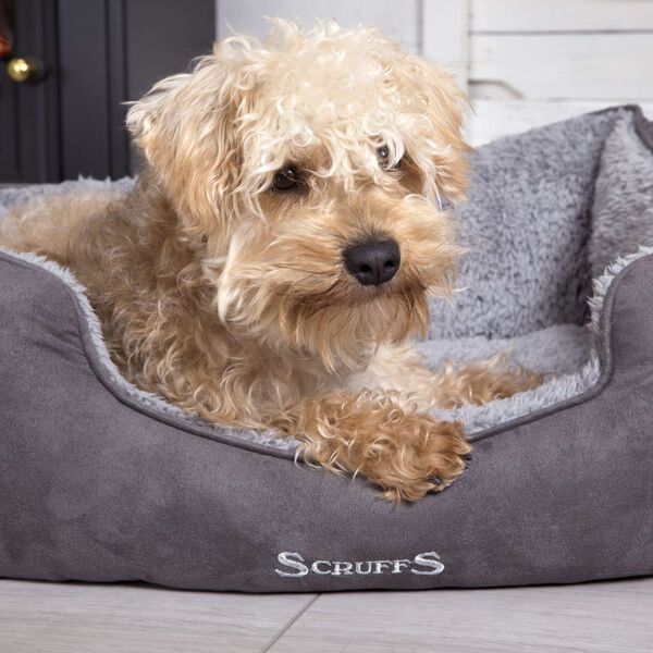 Scruffs Lit &agrave; bo&icirc;te pour chien Cosy Gris S