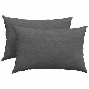 vidaXL Coussins de canap&eacute; 2 pcs Gris fonc&eacute; 60 x 40 cm
