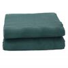 vidaXL Tapis de tente vert 2,5x2 m