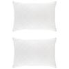 vidaXL Oreiller FULDA 2 pcs 50 x 75 cm 100% duvet d'oie et plumes