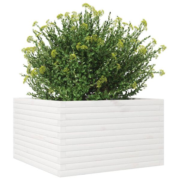 vidaXL Jardini&egrave;re blanc 80x80x45,5 cm bois de pin massif
