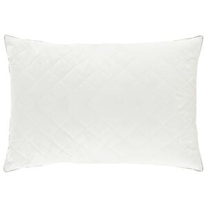 vidaXL Oreiller FULDA 40 x 80 cm 100% duvet d'oie et plumes Blanc