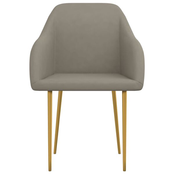vidaXL Chaises &agrave; manger lot de 2 gris clair velours