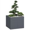 Vignette du produit 2 sur 9