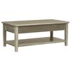 vidaXL Table basse 100x50x40 cm Bois