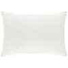 vidaXL Oreiller FULDA 50 x 75 cm 100% duvet d'oie et plumes Blanc
