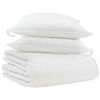 vidaXL Duvet d'hiver avec oreiller 3 pc Blanc Plume de canard