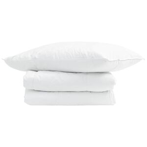 vidaXL Duvet d'&eacute;t&eacute; simple avec oreiller 2 pcs Blanc Down Feather