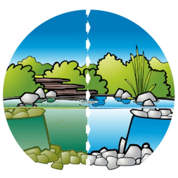 Ubbink Traitement de l'eau d'étang Aqua Clear 500 ml