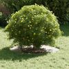 Vignette du produit 3 sur 9