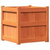 vidaXL Jardini&egrave;re cire marron 50x50x50 cm bois de pin massif