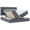 vidaXL Lit de Rangement avec stockage Gris fonc&eacute; 200 x 200 cm Velours
