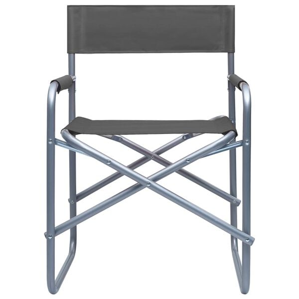 vidaXL Chaises de metteur en sc&egrave;ne lot de 2 Acier Gris