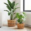 Vignette du produit 2 sur 9